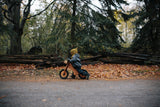Fall Favorites