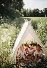 Indoor/Outdoor Play Tent