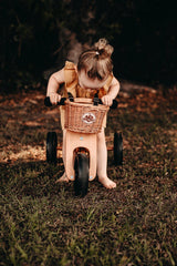 Wicker Bike Basket